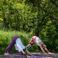 Yoga under the Cherrytree
