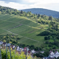 Weinberge Eck & Simmerlein