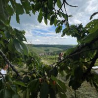 3ad431a8-6674-4d15-a857-3c723283d9c6