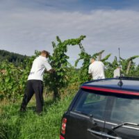 58c8fab0-1350-49e9-9c7f-640b43c56580