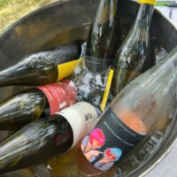 7668df9a-bfe6-4d46-bb06-faf33935509c