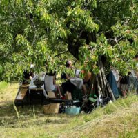 912b8e41-cebf-427d-b6da-fea2b582aaa3