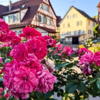 9408E601-D8FB-4C47-B811-BD2C2930B710