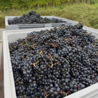 A87366C2-5557-49EE-8AE8-4C9693D6A4D4